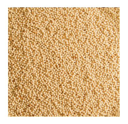 ZeroHy 제품 이미지